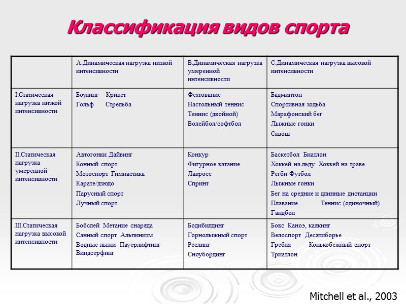 Классификация видов спорта Mitchell et al., 2003